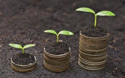 Halve Your Digital Marketing Costs With Grant Funding