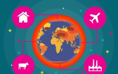 9 Things You Can Do About Climate Change