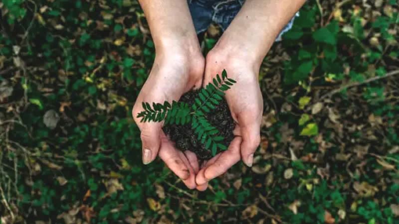 Eco-Friendly Marketing for Small Businesses: What Works in 2025