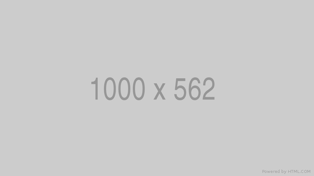 Sed bibendum faucibus hendrerit nunc